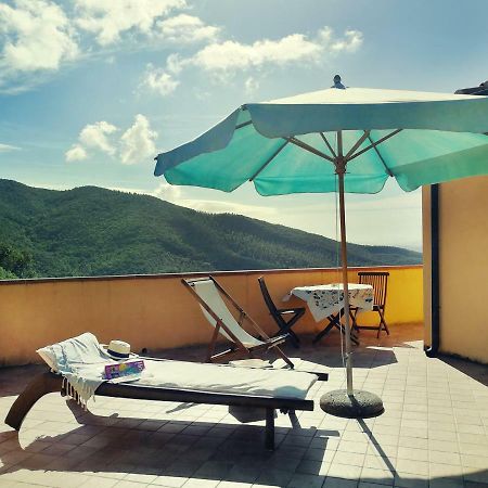 Penzion Casale Pundarika Riparbella Exteriér fotografie