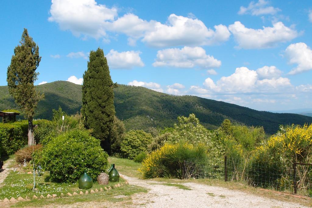 Penzion Casale Pundarika Riparbella Exteriér fotografie