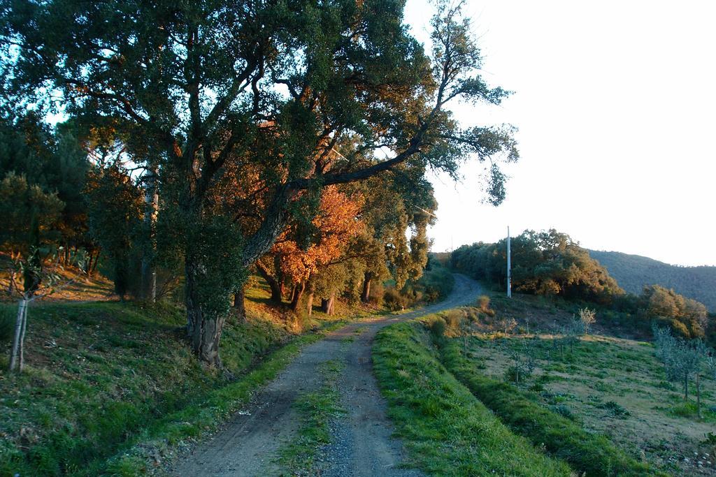 Penzion Casale Pundarika Riparbella Exteriér fotografie