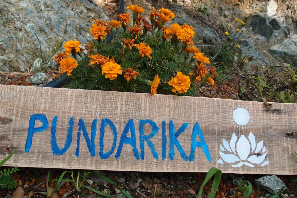 Penzion Casale Pundarika Riparbella Exteriér fotografie